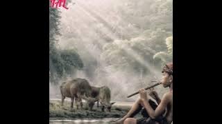 Gembala~H.Rhoma Irama (Official Lirik)