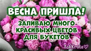 видео: Заливка мыльных цветов от ТакКруто 🌷🌷🌷 Мыловарение картинка: Заливка мыльных цветов от ТакКруто 🌷🌷🌷 Мыловарение