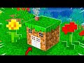 HOW TO LIVE INSIDE DIRT IN MINECRAFT!