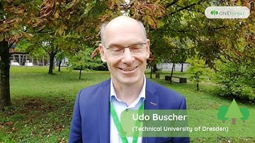 ONEforest partner: Technical University of Dresden
