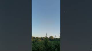 Güneşin Rengi Artık Soluk, Sonbaharı Karşılamakta Resimi