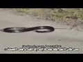 سه يرى ئه م ماره بكه جون دمريت سبحانه الله