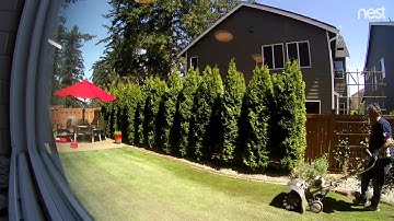 PreGra Grass Installation TimeLapse