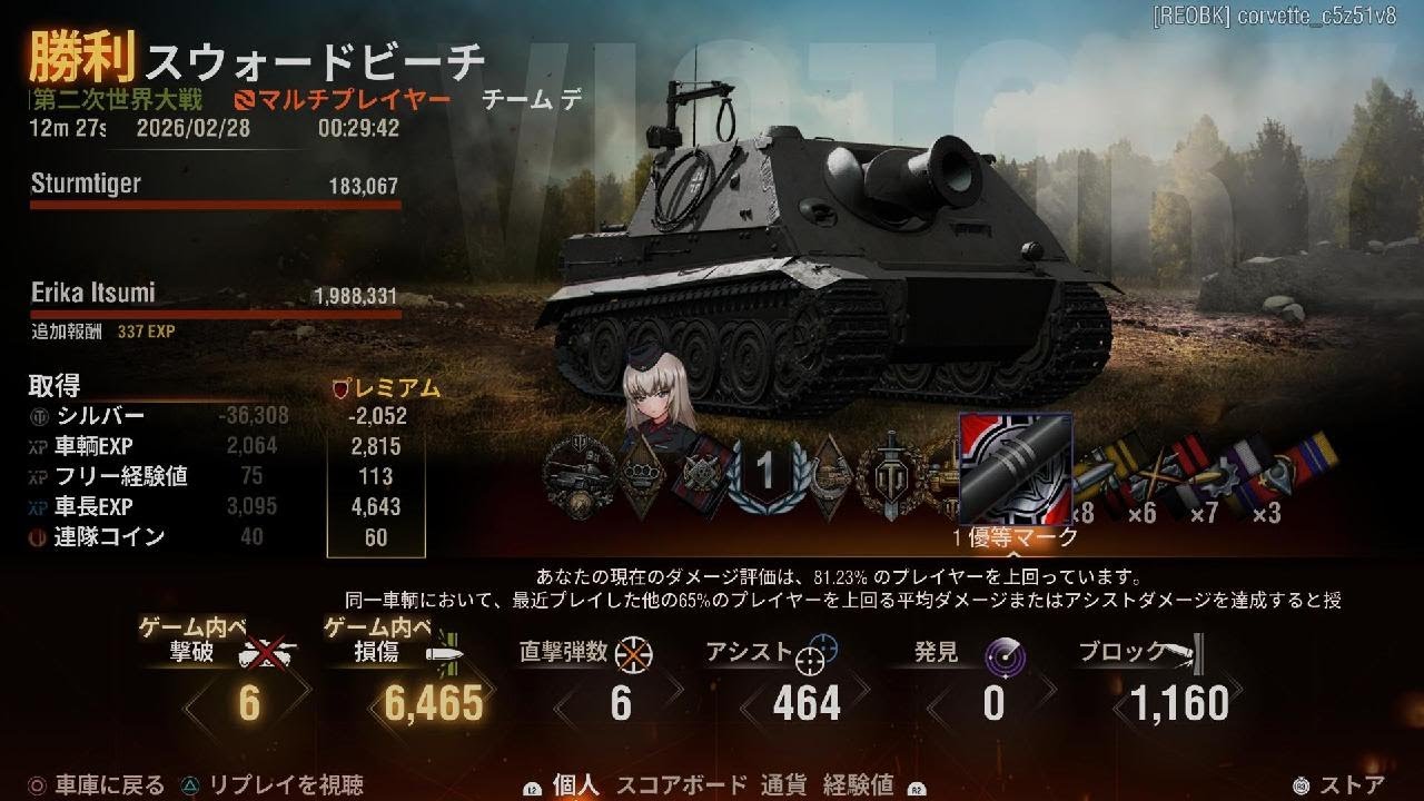 Sturmtiger6kill 6.8k combine DMG