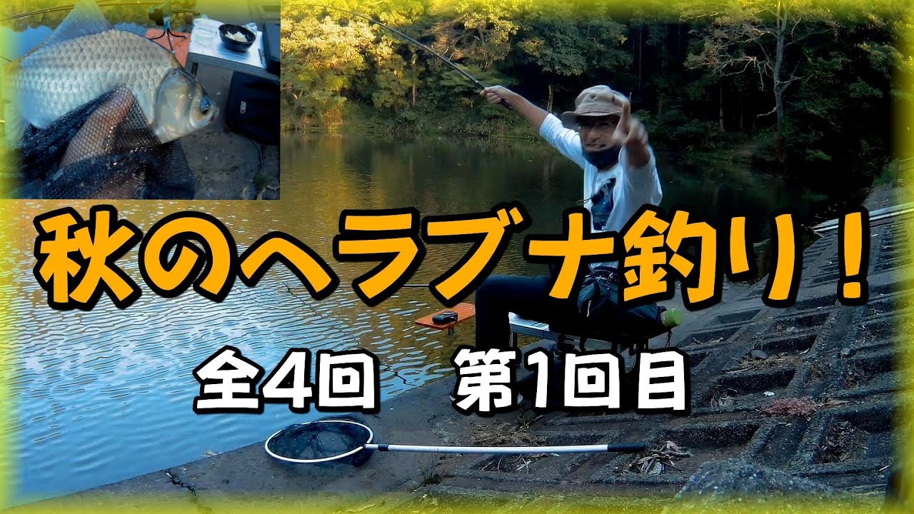 【10月　秋の野池へらぶな釣り  全4回  その①】初めて本格的装備、両グルテンで望む！小物釣り  初心者　淡水　大阪野池　関西野池