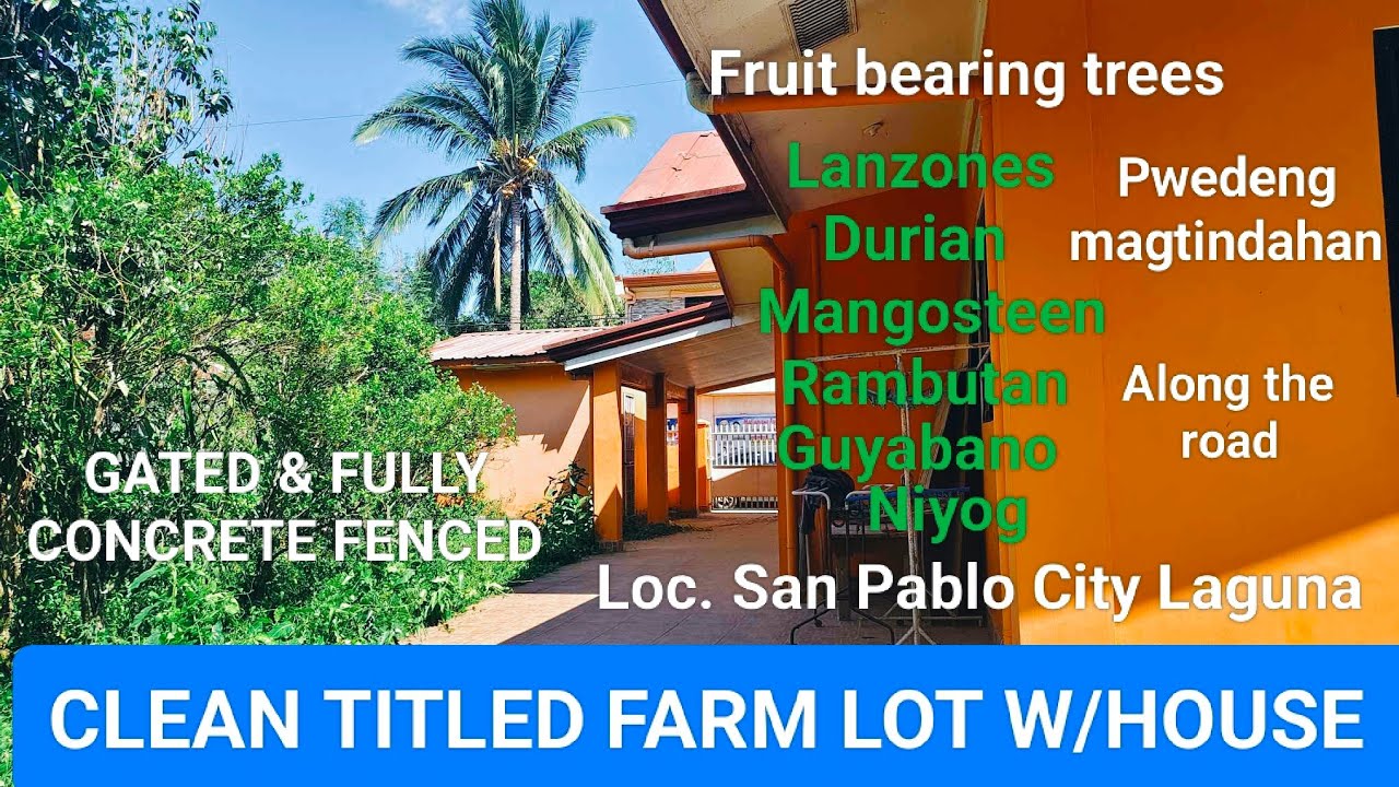#Vlog302 CLEAN TITLED mini FARM LOT W/HOUSE FOR SALE in SAN PABLO CITY LAGUNA