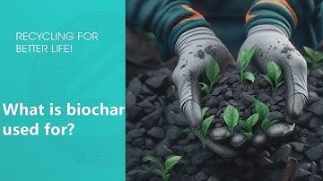 What Is Biochar Used For?@BESTON_GROUP
