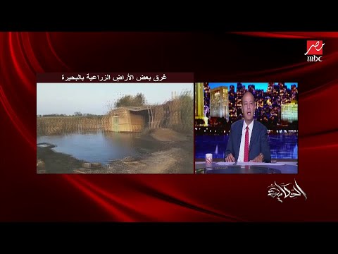 محافظ البحيرة يوضح تفاصيل وحقيقة غرق أراض زراعية بالمحافظة بسبب ارتفاع منسوب مياه النيل