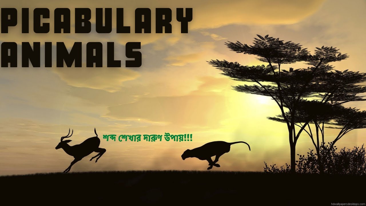 Picabulary: Animals | শব্দ শেখার দারুণ উপায় | Learn English with TalentHut। ইংরেজীতে পশুর নাম
