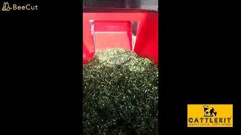 REDOX Feed Mixer in action - quality mixing from a strong and durable tmr for your farm #cattlekit