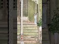 こっち見てる顔が、、、 #心霊 #心霊配信