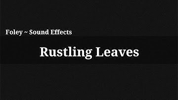 Rustling Leaves / Sound Effect