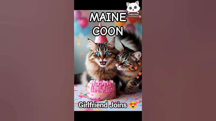 Video 11843921: cat maine coon british, coon cat meowing maine, eyed maine coon