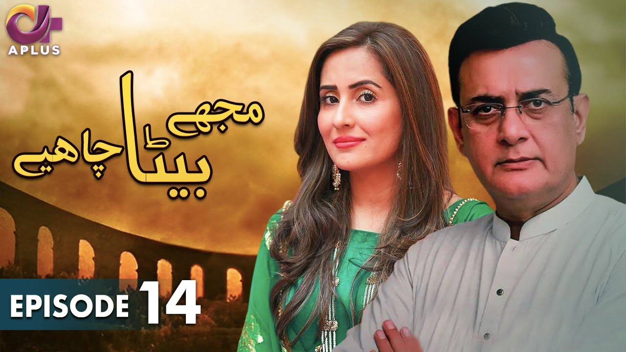 Pakistani Drama | Mujhe Beta Chahiye - Episode 14 | Aplus Gold | Sabreen, Shahood Alvi, Aiza Awan