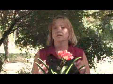 Video: Clivia Plants: Tips on Caring For Clivia Plant