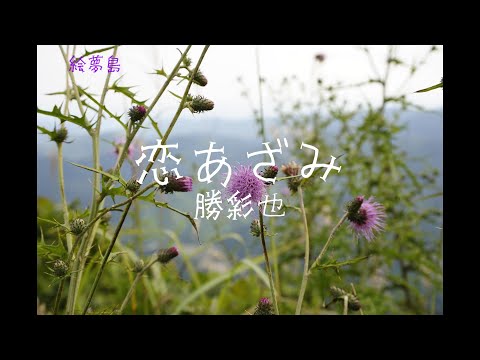 「恋あざみ」(1970)　勝彩也　４ｋ高知県梼原町　手打ち歌詞付き　(デビュー曲)  アルトサックスで　島本光弘　絵夢島/PIXTA 　エムシマ