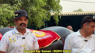 21 झोटिया मेले के लिए है  तैयार : नरेंद्र सेक्ट्री फ़ार्म बड़ी Update For Seman : 90341 44813 ||