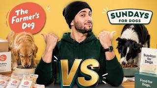 The Farmer’s Dog Vs Sundays For Dogs | Which Is Actually Worth The Money?