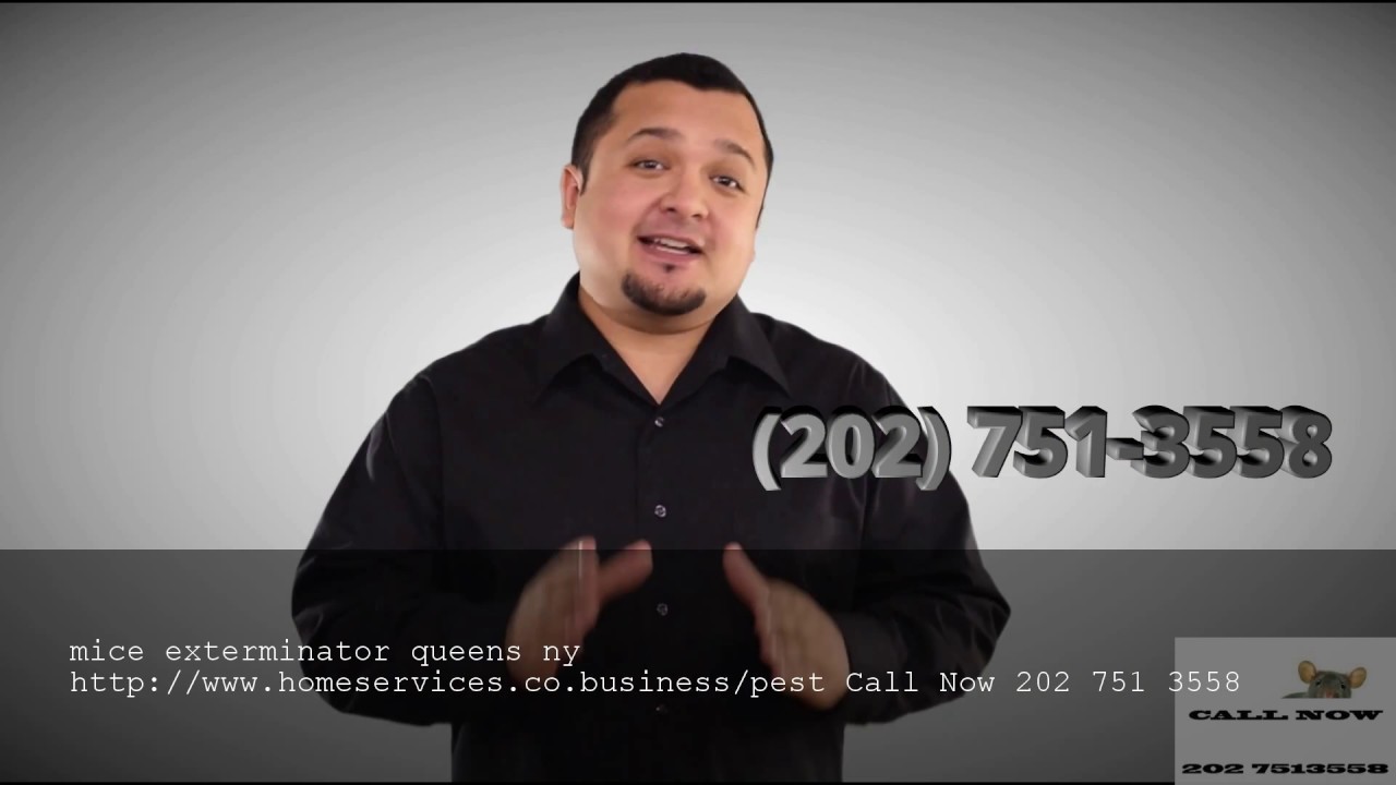 mice exterminator queens ny