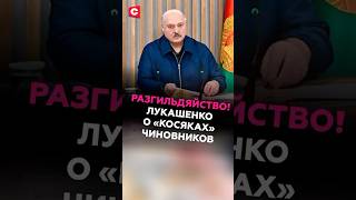 РАЗГИЛЬДЯЙСТВО! Лукашенко о «косяках» чиновников! #лукашенко #беларусь #птицы #падёж #фермеры