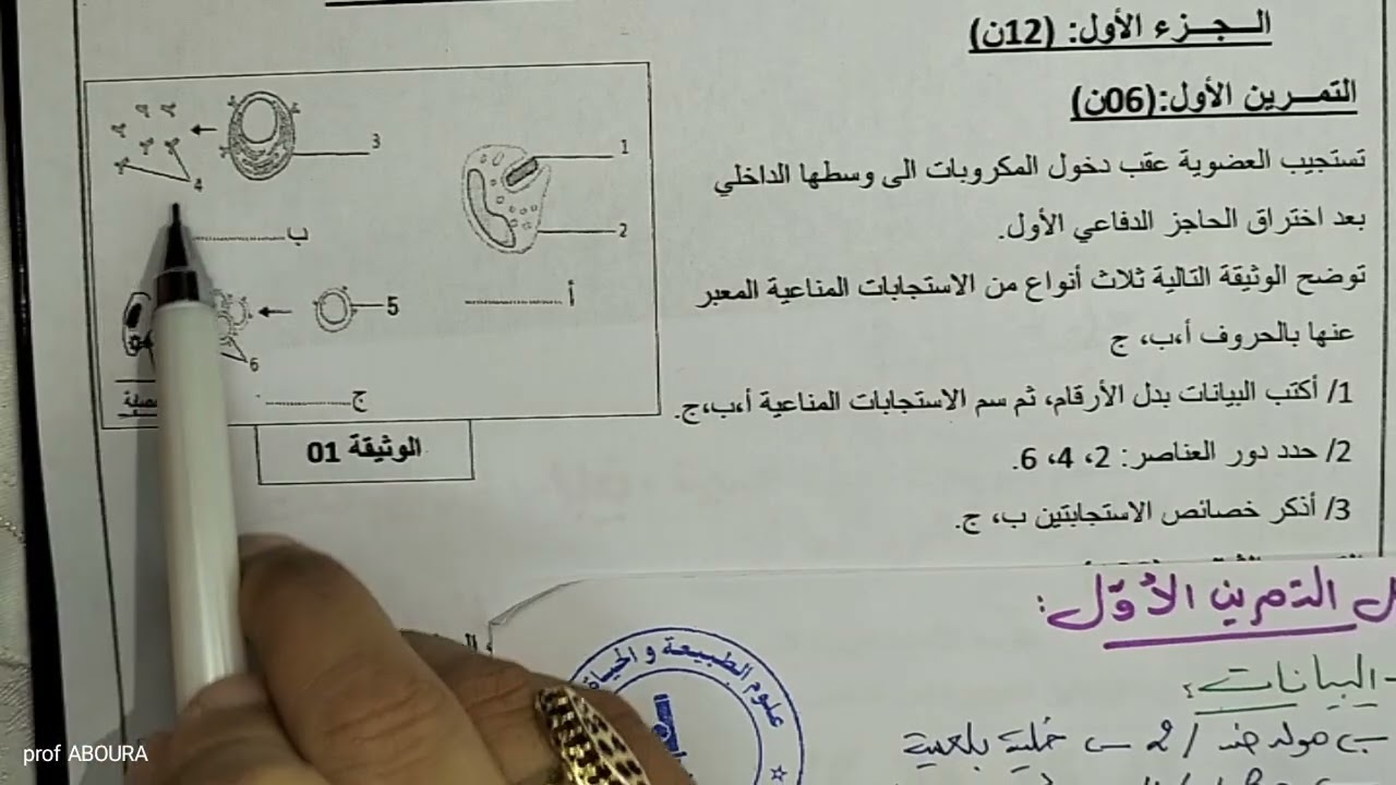 تمرين شامل خاص بالمناعة 🦠