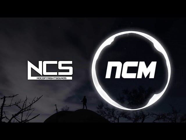 Chime & Adam Tell - Whole (Rob Gasser Remix) [NCS Release] With Lyrics Music Boosted class=