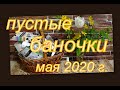 ПУСТЫЕ БАНОЧКИ МАЯ 2020 г.