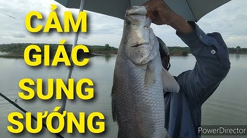 Cảm giác chinh phục cá Chẽm siêu to ở Lý Nhơn, Cần giờ || Thiên Nhiên Muôn Loài