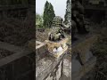 Mộ cụ tổ chi 3 Nguyễn Huy Văn Lôi (cụ Nguyễn Quốc Tiểu) sau khi con cháu dọn cỏ  #country