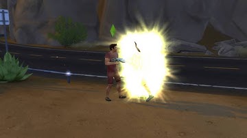 TS4 Get to Work Transform Sim