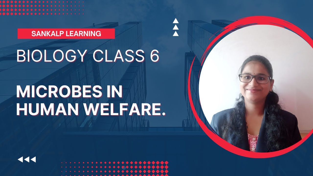 Rotary Sanklap K-CET - Class 6 - Microbes in human welfare - YouTube