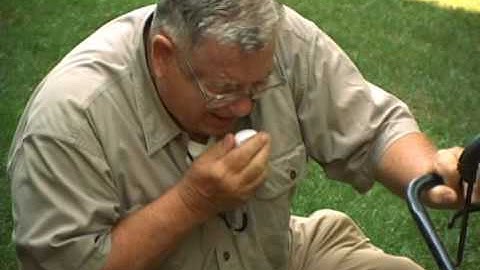 Freedom Alert Video.flv