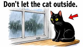 What Really Happens to Indoor Cats Over Their Lifetime.