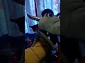 My new puppet 1