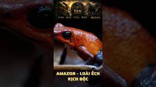Vẻ đẹp "TỬ THẦN" của loài ếch kịch độc Amazon #amazon #nature #thegioidongvat #shorts #animals