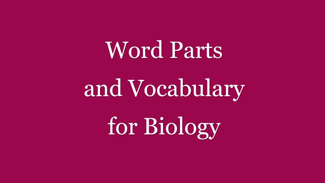 Word Parts and Vocabulary for Biology Part 1 YouTube
