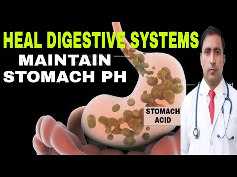वीडियो: पेट और छोटी आंत में ph कैसे बना रहता है?
