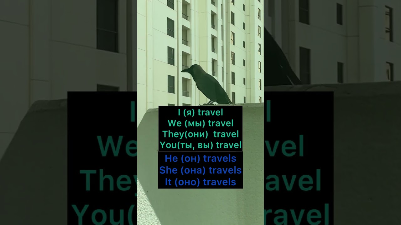 Глаголы Live и Travel в Настоящем времени (Present Simple)