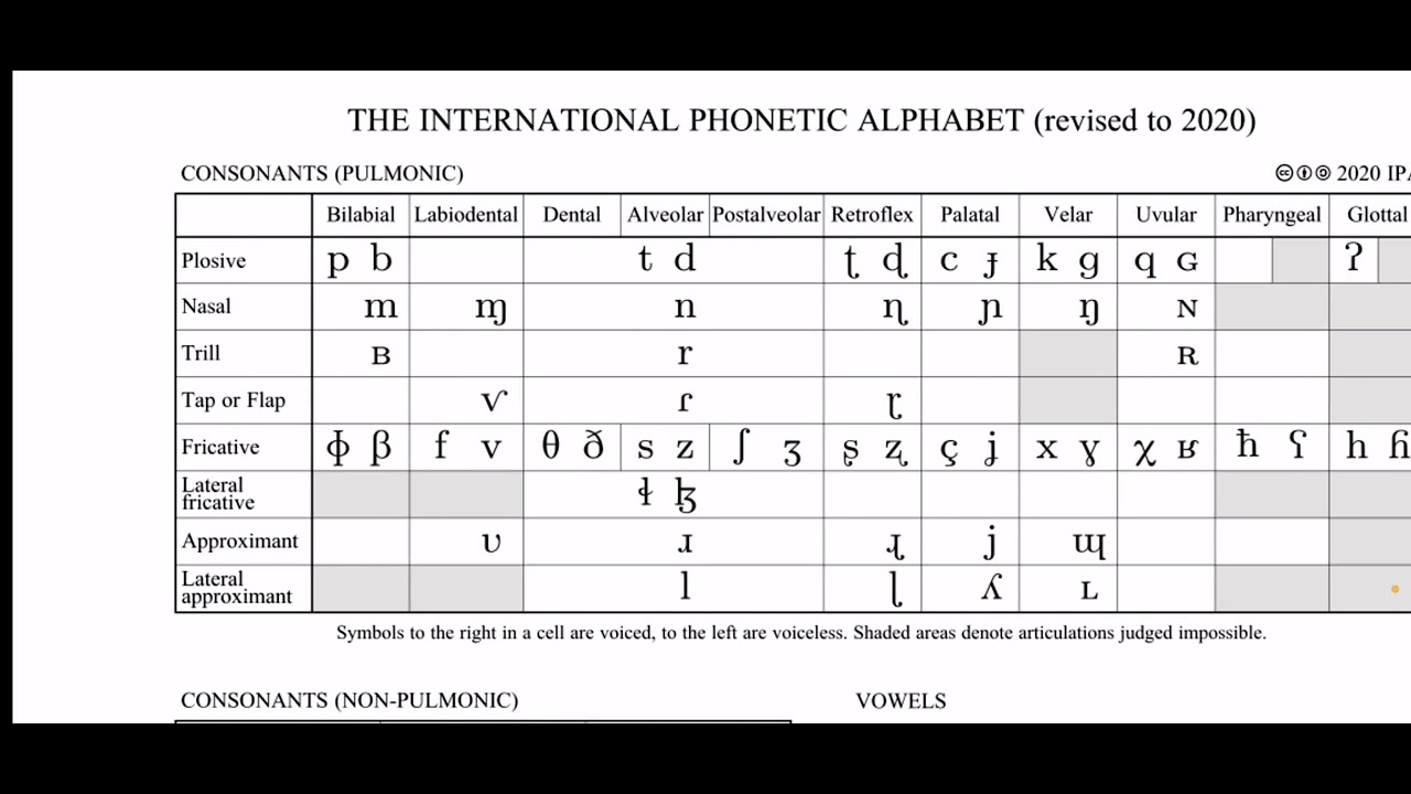 Произнёс весь МФА(Международный Фонетический Алфавит)