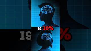 Male vs Female BRAIN 🤯