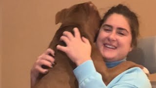 Unwanted dog is so happy when she finally gets adopted
