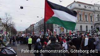 Palestina demonstation, Göteborg Avenyn 12 nov-23