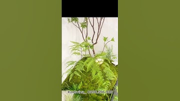 Tiểu cảnh giả đẹp như thật | Dịch vụ thiết kế tiểu cảnh trọn gói – Xanhvina #caygia,#tieucanhcaygia