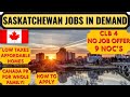 SINP Canada 2021 Jobs in Demand | SINP Application Process | Occupation In-Demand | Dream Canada