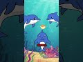 Dolphins love getting high by using pufferfishes, and how they do it is kind of interesting.