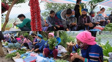 CHỢ PHIÊN VÙNG CAO BÁN TOÀN ĐẶC SẢN QUÝ TỪ NÚI RỪNG | Miền núi tây bắc