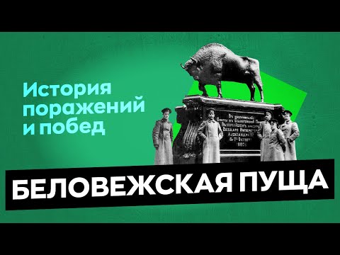 Беловежская пуща: история поражений и побед