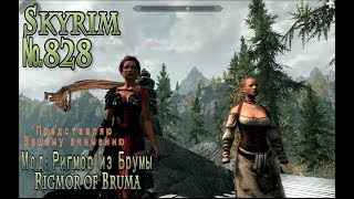 Skyrim s 828 Довакин Курьер Skyrim s 828 Довакин Курьер