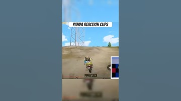 Panda Reacted on my videos #pubgmg #pubgmobile #gaming #pubggm #battleroyalegame #bgmi #pubgms