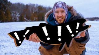 Monster Splake Caught on Ice Fishing Tip Up-PB Splake & Pike